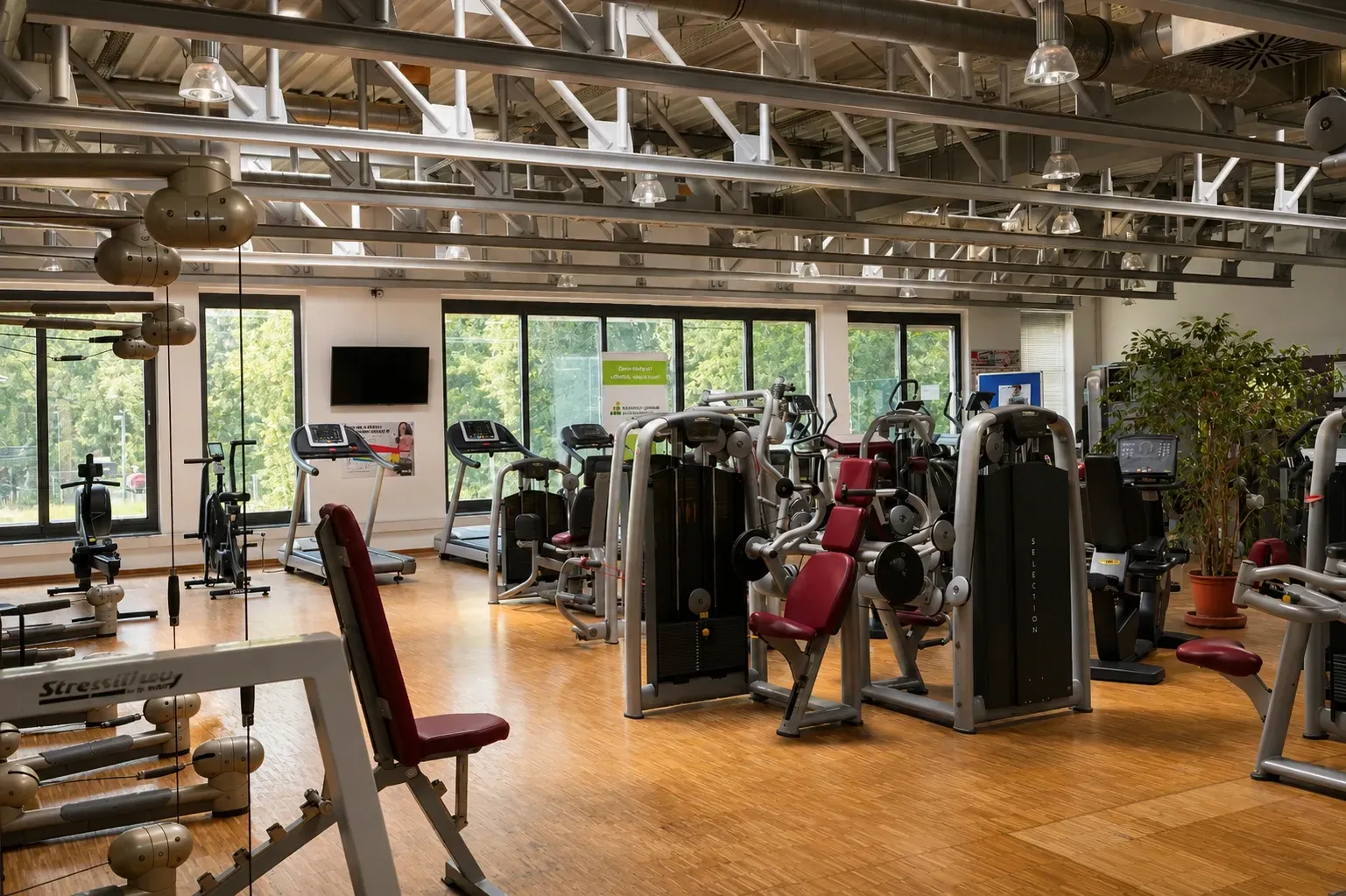 Fitnessbereich